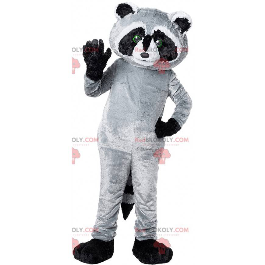 Maskot černý a šedý mýval. Mýval kostým - Redbrokoly.com