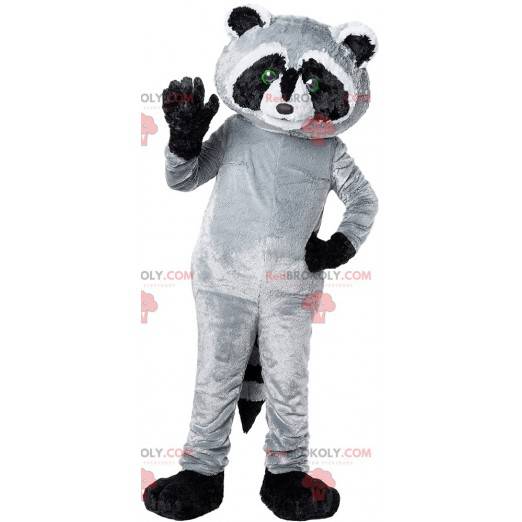 Mascotte procione nero e grigio. Costume da procione -