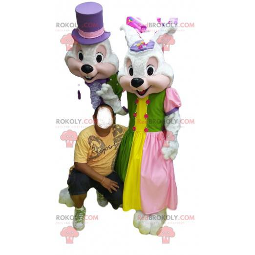 Mascot couple of white rabbits in colorful evening dress. -