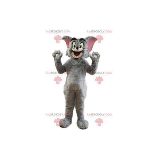 Maskot Tom, postava z karikatury Tom a Jerry - Redbrokoly.com