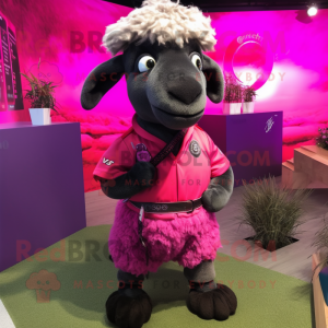 Magenta Suffolk Sheep...