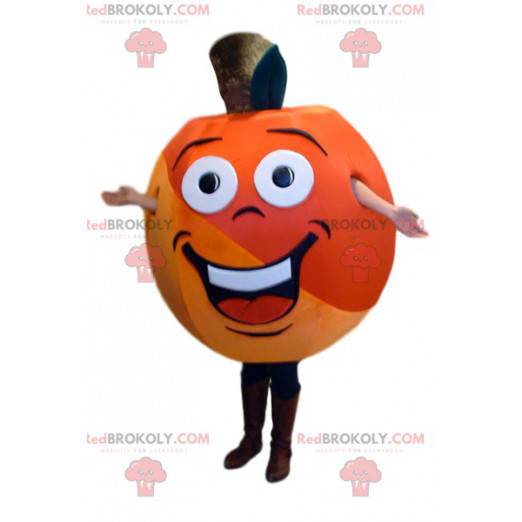 Lindo mascote de damasco muito colorido e muito alegre -