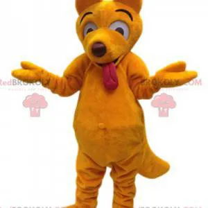 Yellow dingo wolf mascot and his funny face - Redbrokoly.com