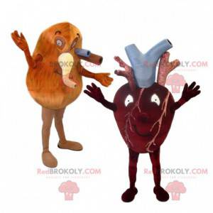 Duo de mascotte cœur et poumon et leurs artères - Redbrokoly.com