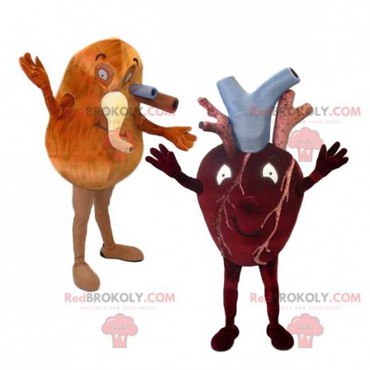 Herz-Lungen-Maskottchen-Duo und ihre Arterien - Redbrokoly.com
