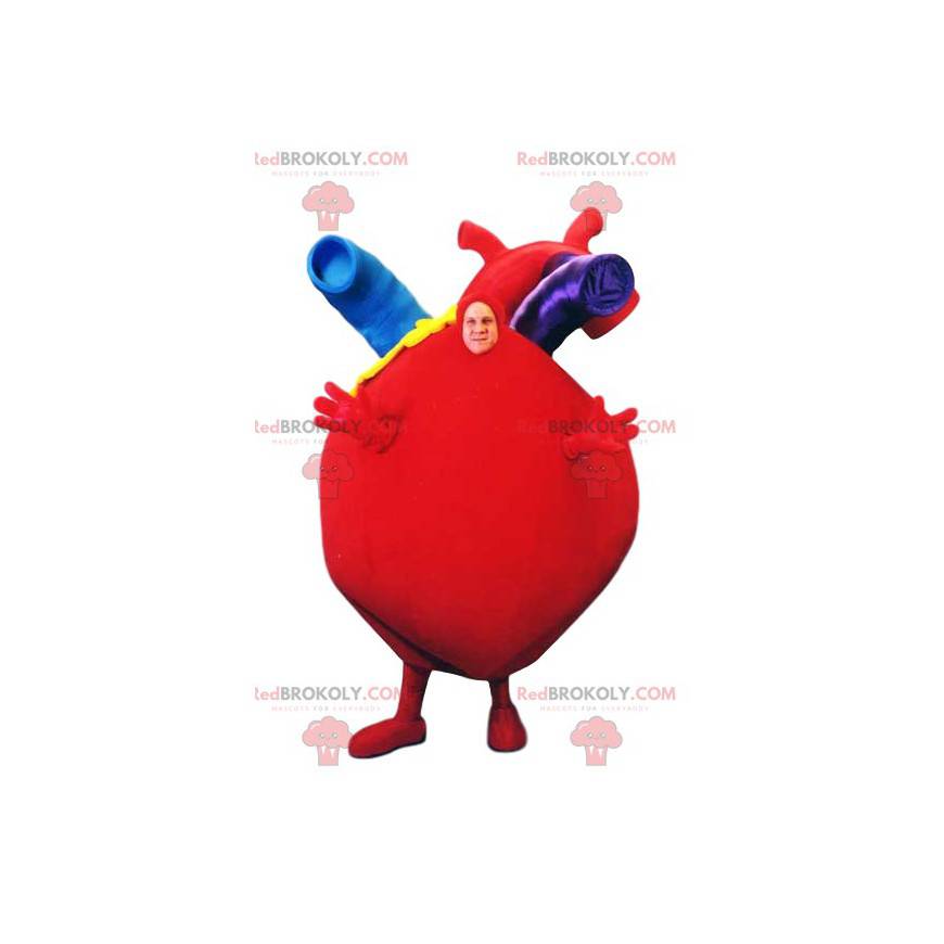 Mascotte de cœur rouge géant avec ses belles artères -