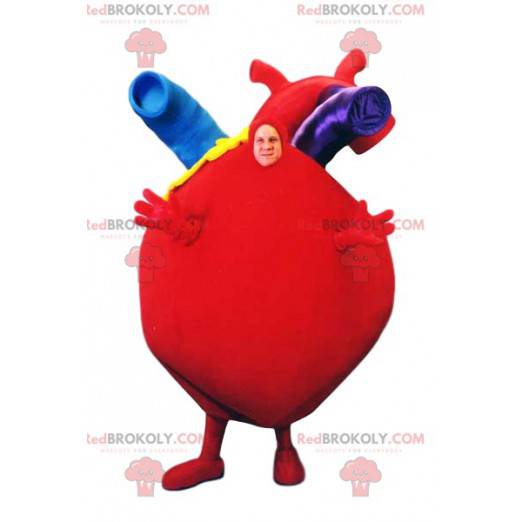 Gigantische rood hart mascotte met zijn prachtige slagaders -