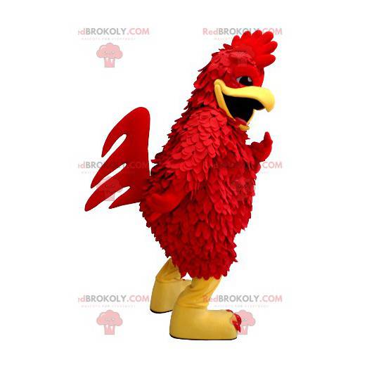 Mascotte de coq rouge et jaune de poule géante - Redbrokoly.com