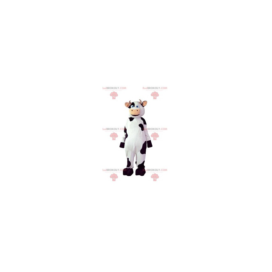 Mascota de la vaca coqueta con sus hermosas manchas negras - Mascota de la vaca coqueta con sus hermosas manchas negras -