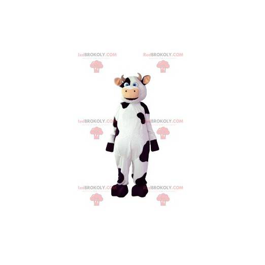 Mascota de la vaca coqueta con sus hermosas manchas negras -