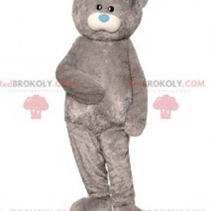 Gray bear mascot and its cute little blue muzzle -