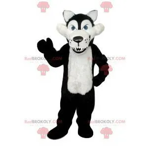 Black and white cruel wolf mascot with its huge fangs -