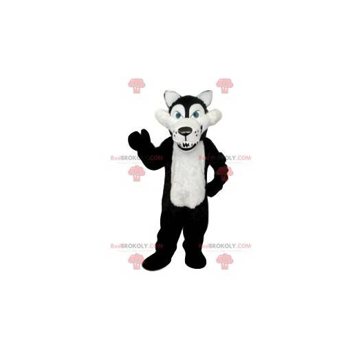 Black and white cruel wolf mascot with its huge fangs -