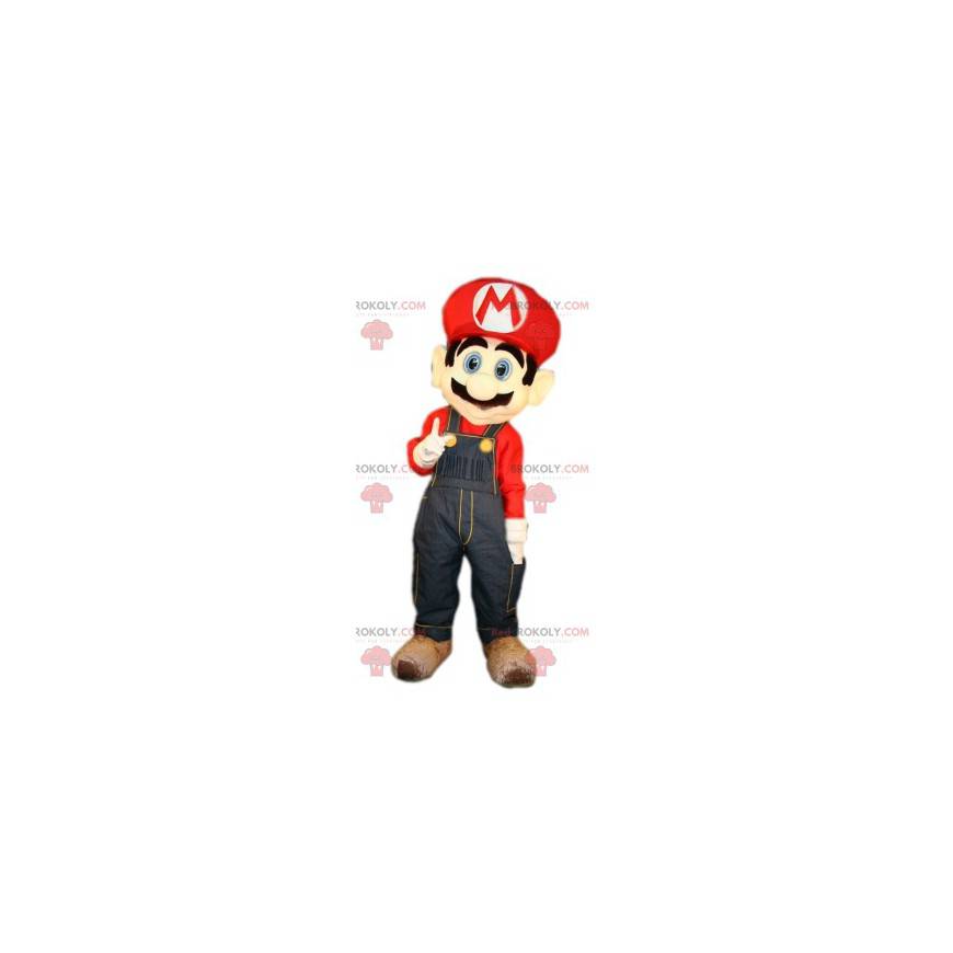 Mascote do Grand Mario Bros. com seu famoso macacão azul - Mascote do Grand Mario Bros. com seu famoso macacão azul -