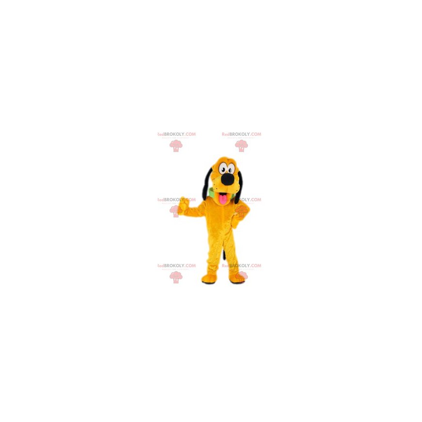 Pluto-Maskottchen, Walt Disney-Charakter - Redbrokoly.com Pluto-Maskottchen, Walt Disney-Charakter - Redbrokoly.com