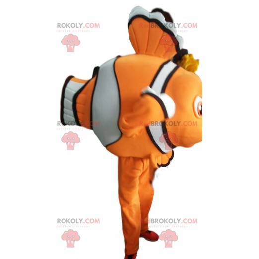 Mascot Nemo, the tender and kind clownfish - Redbrokoly.com