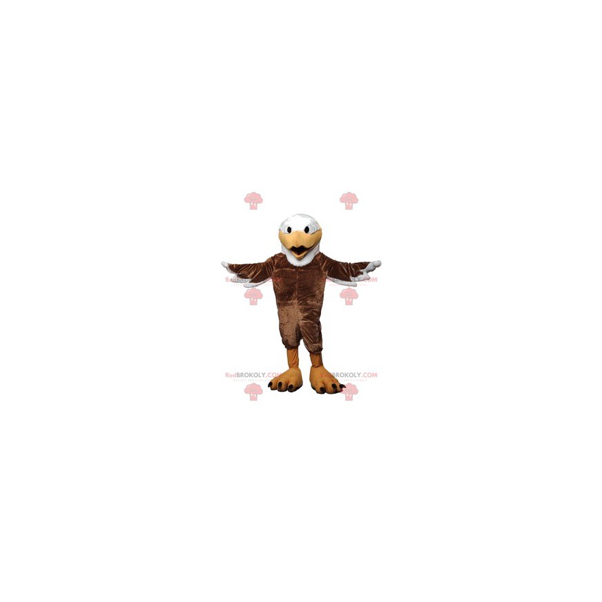 Majestosa águia mascote com sua bela plumagem marrom -