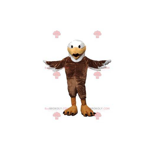 Majestosa águia mascote com sua bela plumagem marrom -