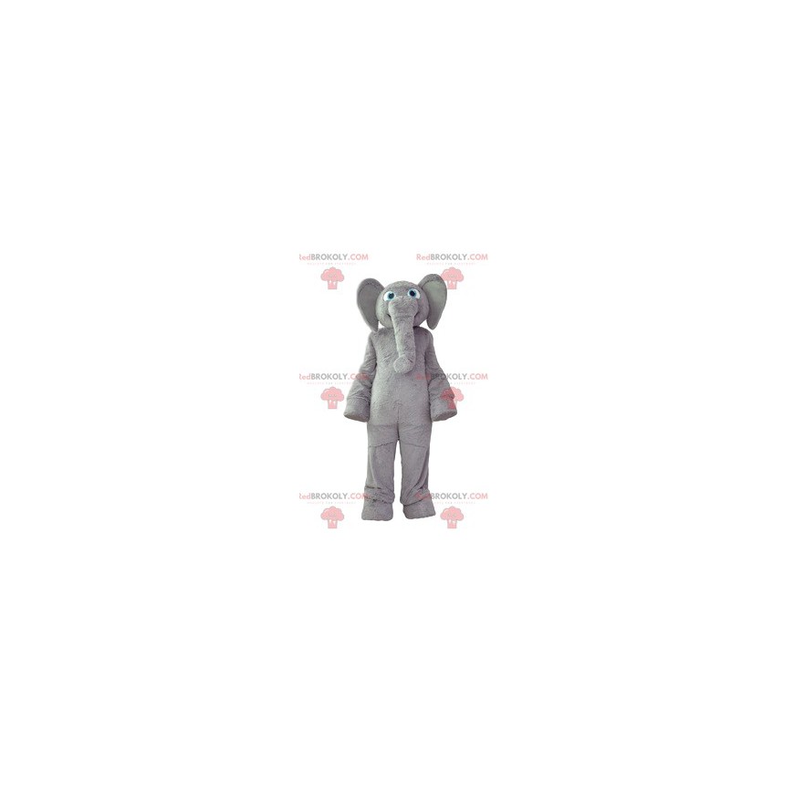 Gray elephant mascot with a soft coat and a big smile - Gray elephant mascot with a soft coat and a big smile -