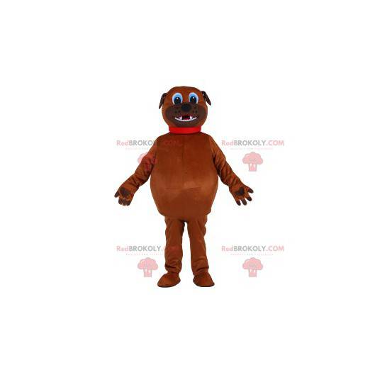 Mascota de perro marrón regordeta con su collar rojo -