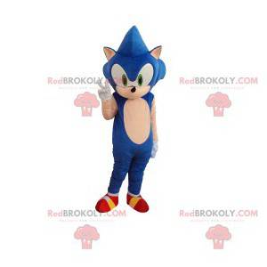 Mascotte di Sonic, il famoso riccio blu del videogioco Sega -