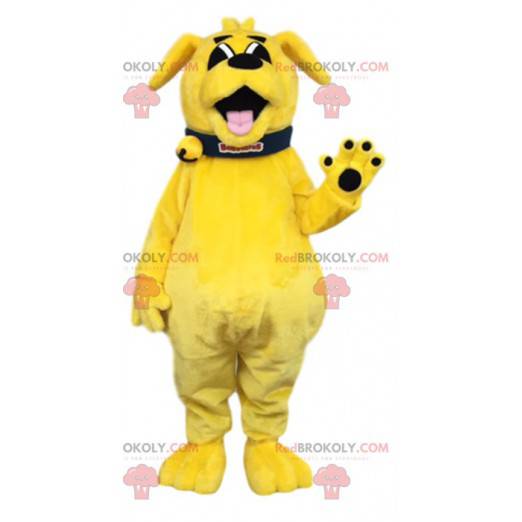 Blixtgul hundmaskot med sin svarta krage - Redbrokoly.com