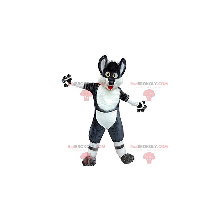 Crazy and funny black and white wolf mascot - Redbrokoly.com
