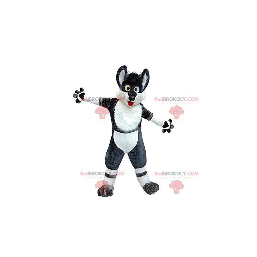 Mascota lobo blanco y negro loco y divertido - Redbrokoly.com Mascota lobo blanco y negro loco y divertido - Redbrokoly.com