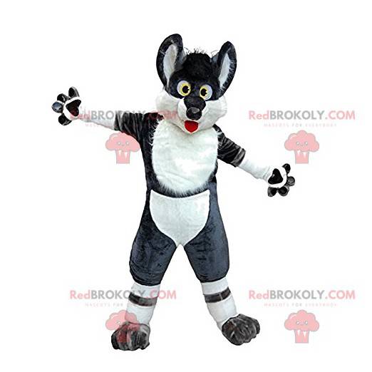 Mascote de lobo preto e branco louco e engraçado -