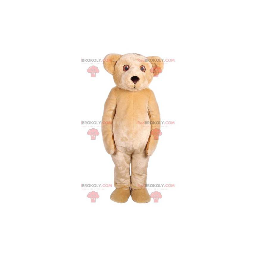 Tocando la mascota del oso de peluche beige - Redbrokoly.com