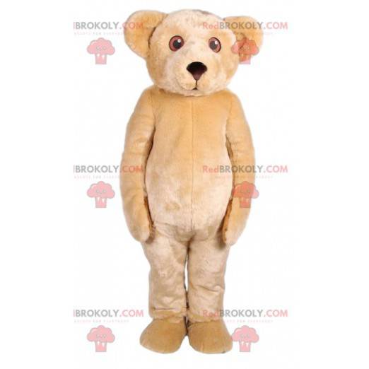 Tocando la mascota del oso de peluche beige - Redbrokoly.com