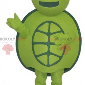 Grön sköldpadda masotte och runt, - Redbrokoly.com