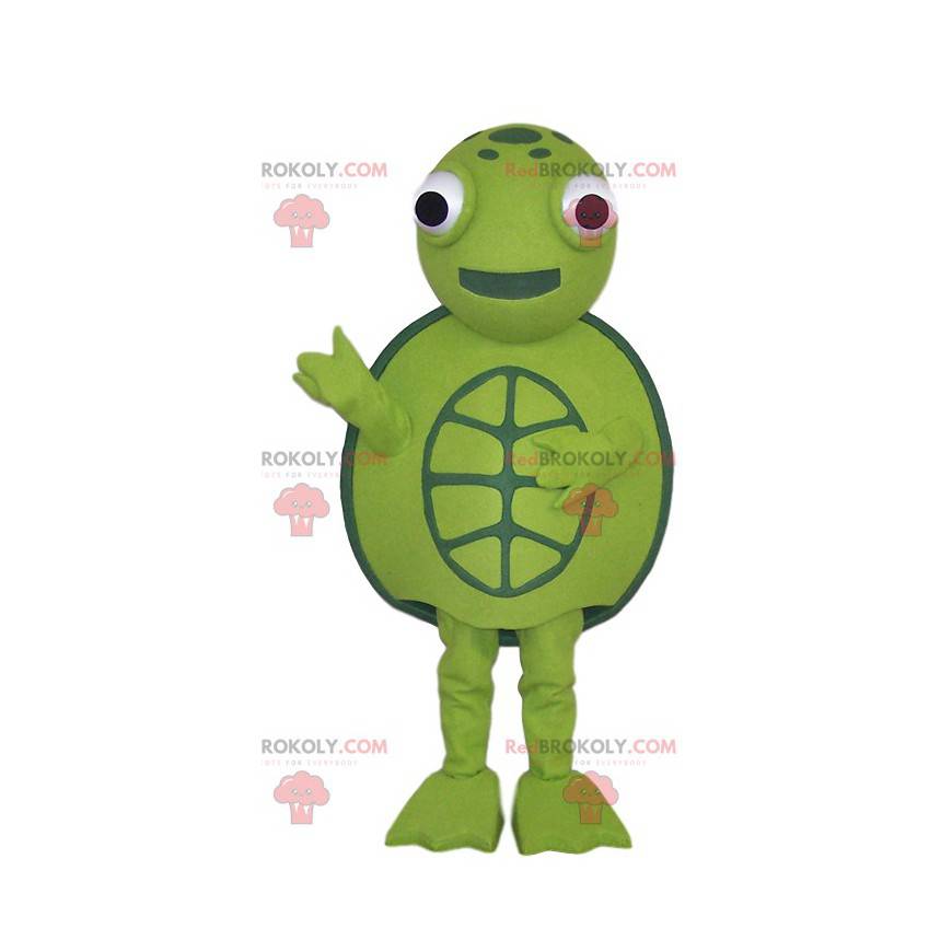 Grön sköldpadda masotte och runt, - Redbrokoly.com