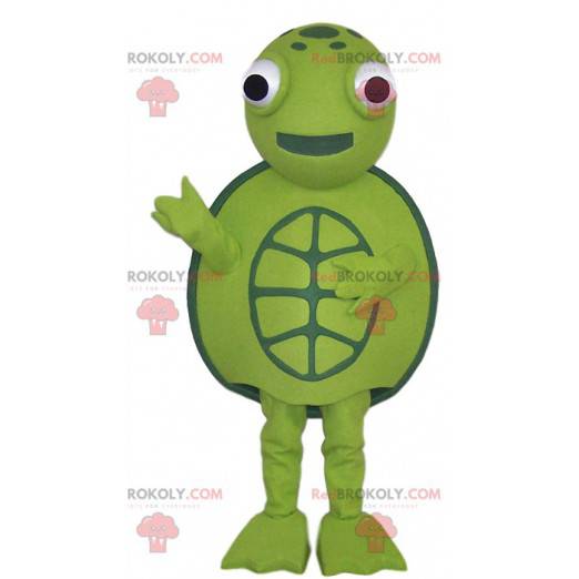 Green turtle masotte and all round, - Redbrokoly.com