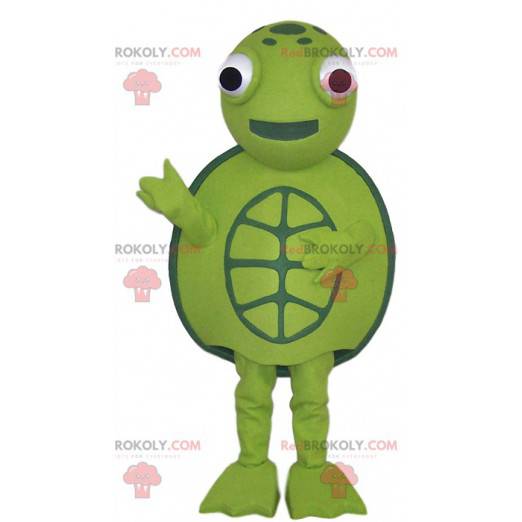 Zielony żółw masotte i dookoła, - Redbrokoly.com