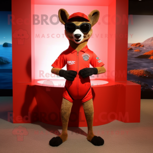Rød kænguru maskot kostume...