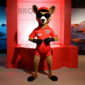 Red Kangaroo mascot costume character dressed with a Rash Guard and Sunglasses