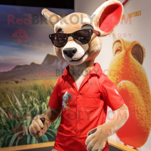 Red Kangaroo mascot costume character dressed with a Rash Guard and Sunglasses