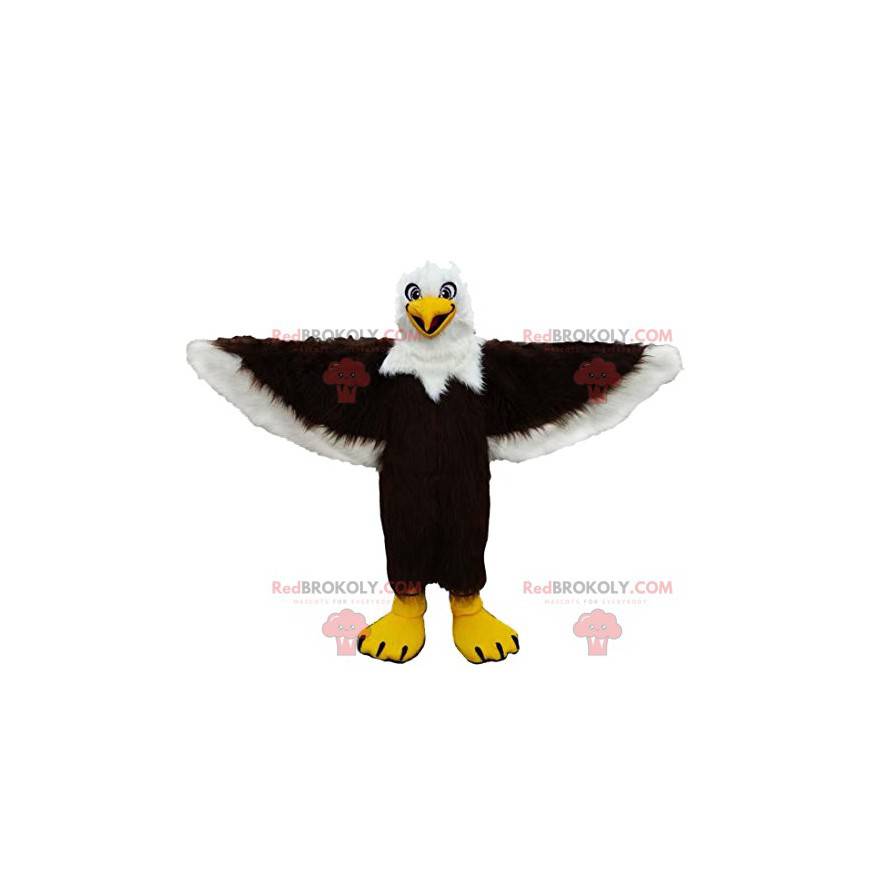 Mascote águia dourada e majestosa - Redbrokoly.com