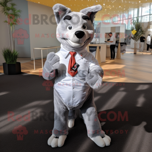 Silver Dingo mascot costume character dressed with a Button-Up Shirt and Bow ties