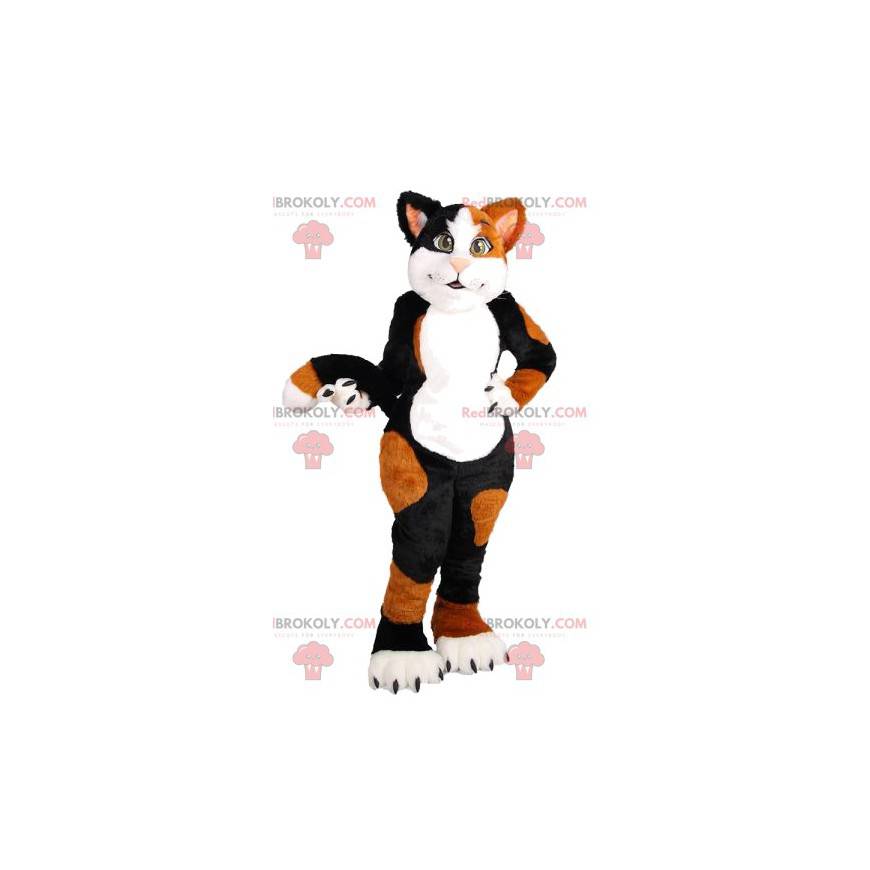 Mascota gato rojo y negro muy lindo - Redbrokoly.com Mascota gato rojo y negro muy lindo - Redbrokoly.com