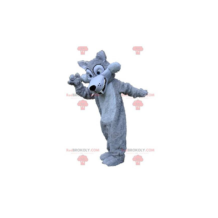 Mascote de lobo cinza prateado com seus grandes dentes - Mascote de lobo cinza prateado com seus grandes dentes -