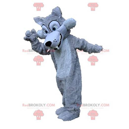 Mascota lobo gris plateado con sus grandes dientes -
