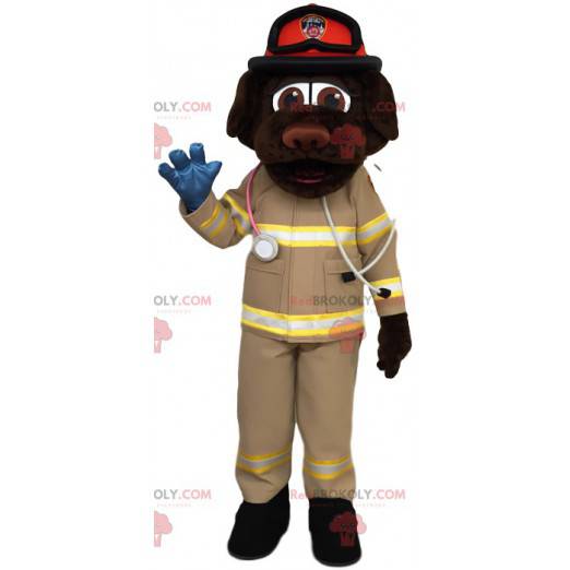 Brown Labrador mascot in first aid outfit - Redbrokoly.com