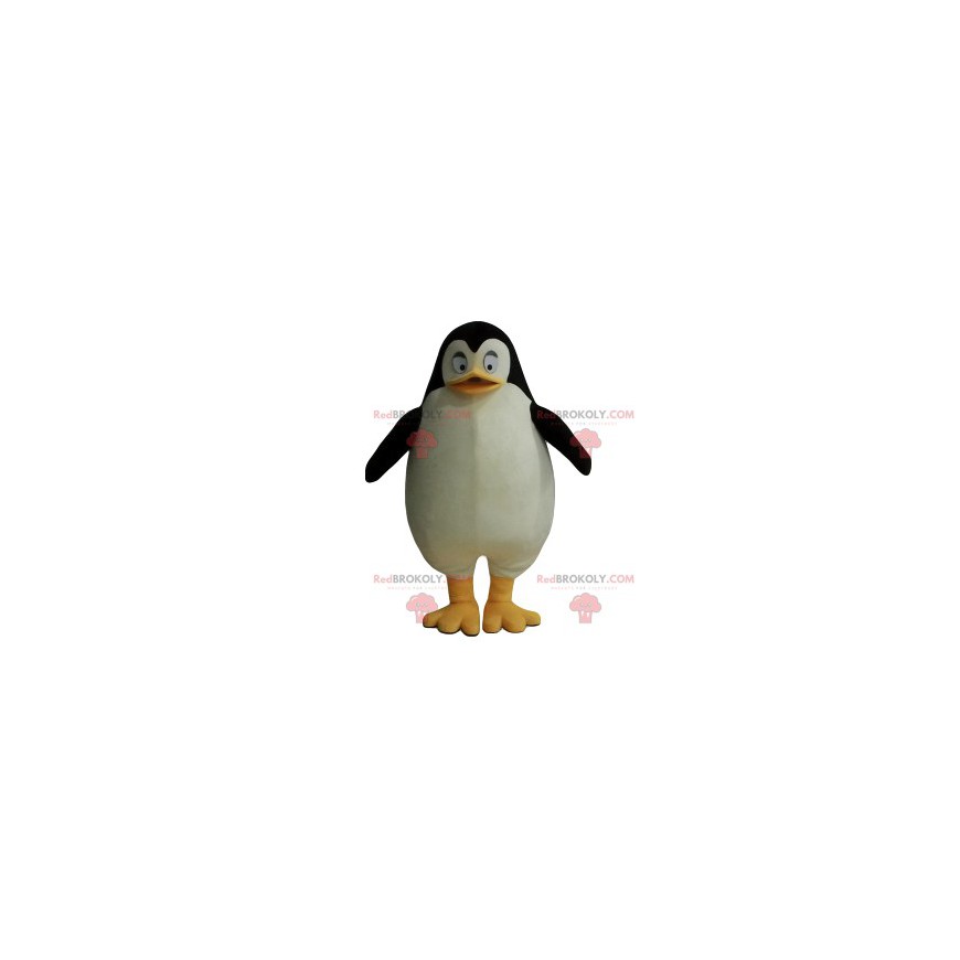 Mascote pinguim muito alegre - Redbrokoly.com