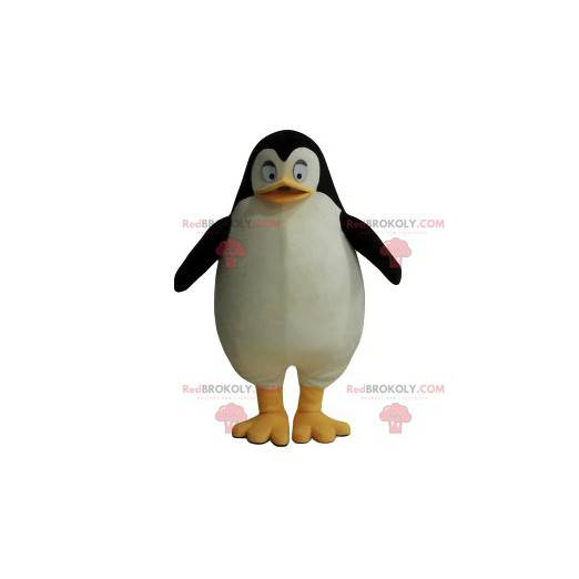 Mascota pingüino muy alegre - Redbrokoly.com