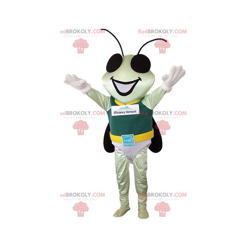 Pequeña mascota mosca con su disfraz de héroe - Redbrokoly.com Pequeña mascota mosca con su disfraz de héroe - Redbrokoly.com