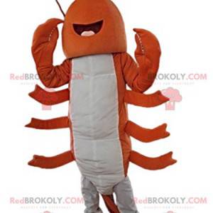 Cheerful and fabulous lobster mascot - Redbrokoly.com