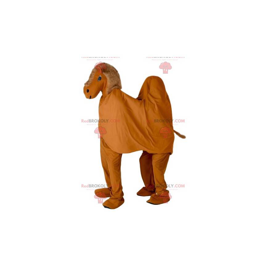 Brown dromedary mascot - Redbrokoly.com
