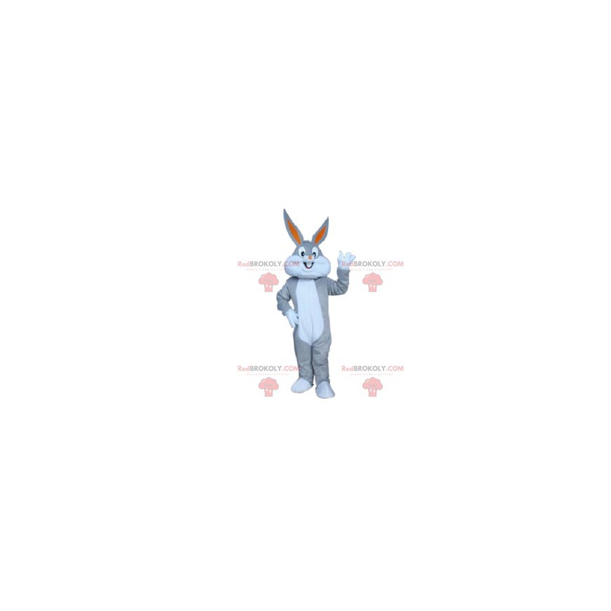 Mascotte Bugs Bunny, Warner Bros.-stripfiguur - Redbrokoly.com Mascotte Bugs Bunny, Warner Bros.-stripfiguur - Redbrokoly.com